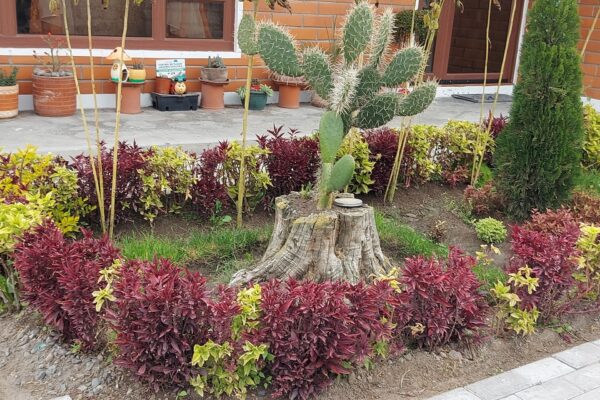 Resized_20220825_162806_104526815450773