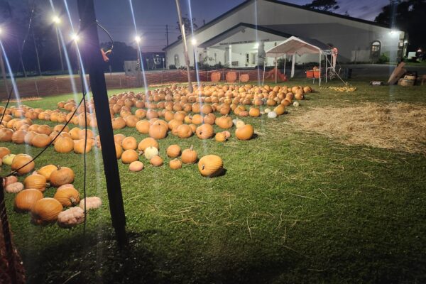 Resized_20241025_192757 (1)