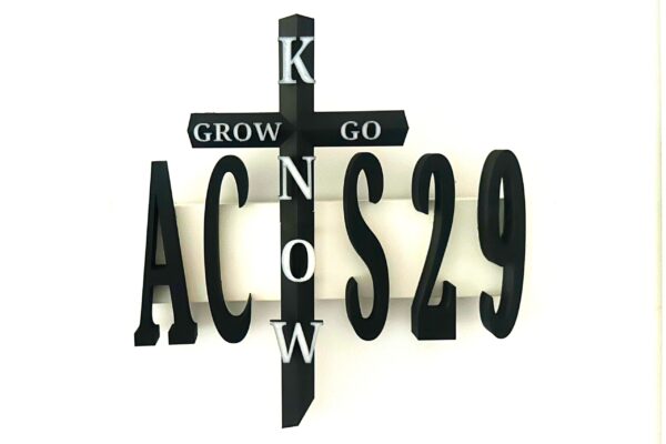 Acts 29